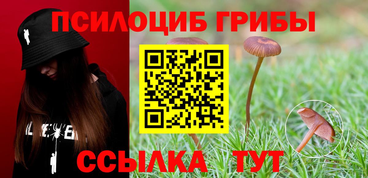 Галлюциногенные грибы ЛСД Можга